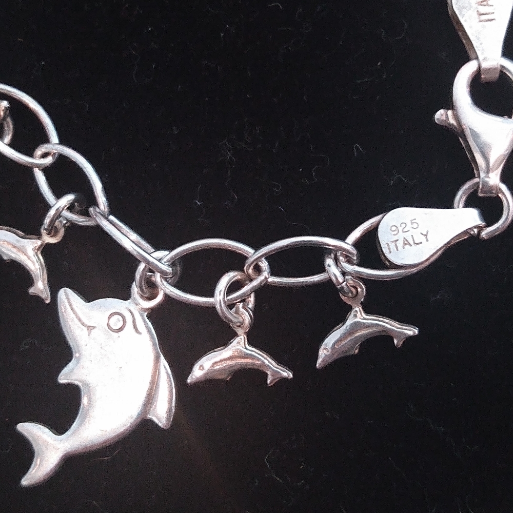 Dolphin Charm Bracelet - Picture 3 of 7